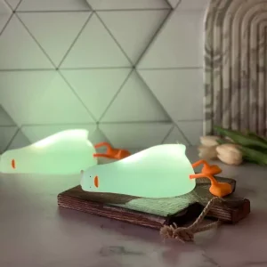 شب خواب سیلیکونی اردک