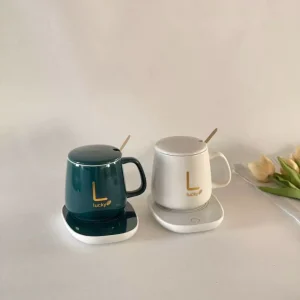 ماگ هیتردار